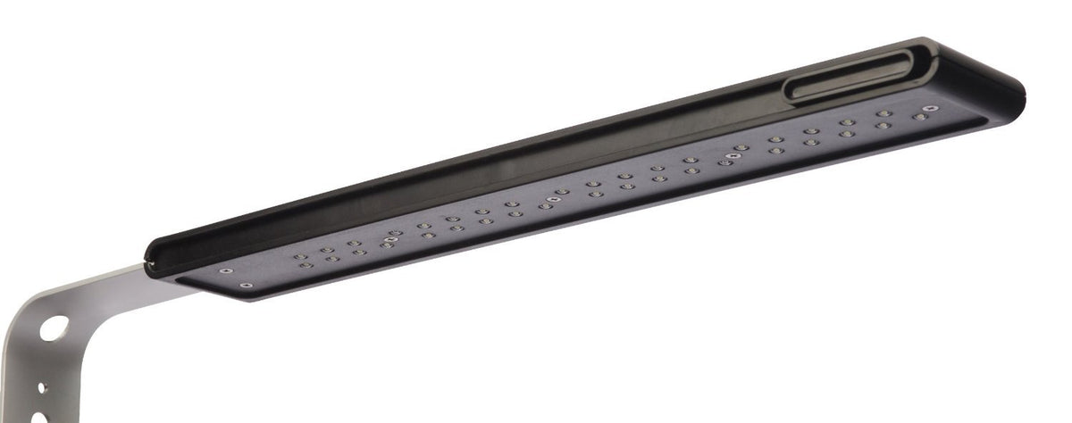 5-Gallon Aquarium Kit Q1882