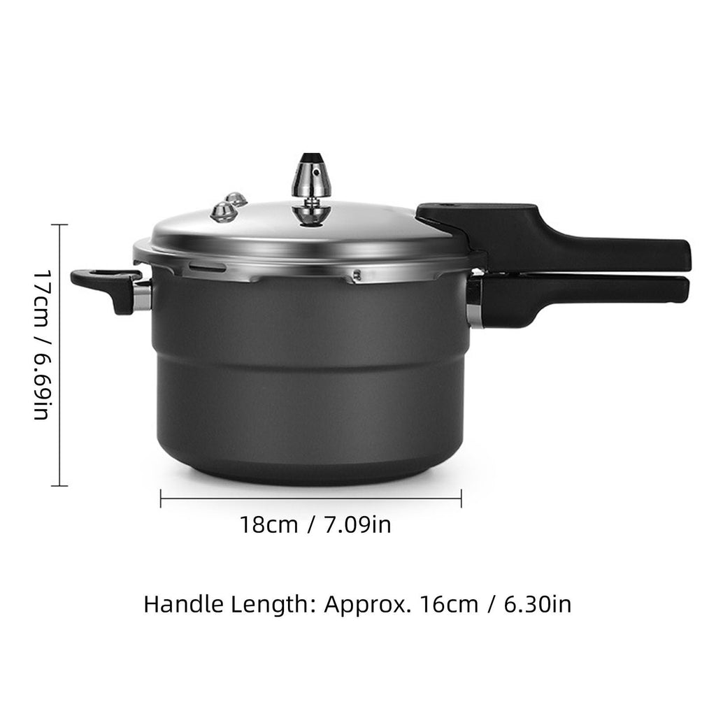 Stainless Steel Pressure Cooker C319317
