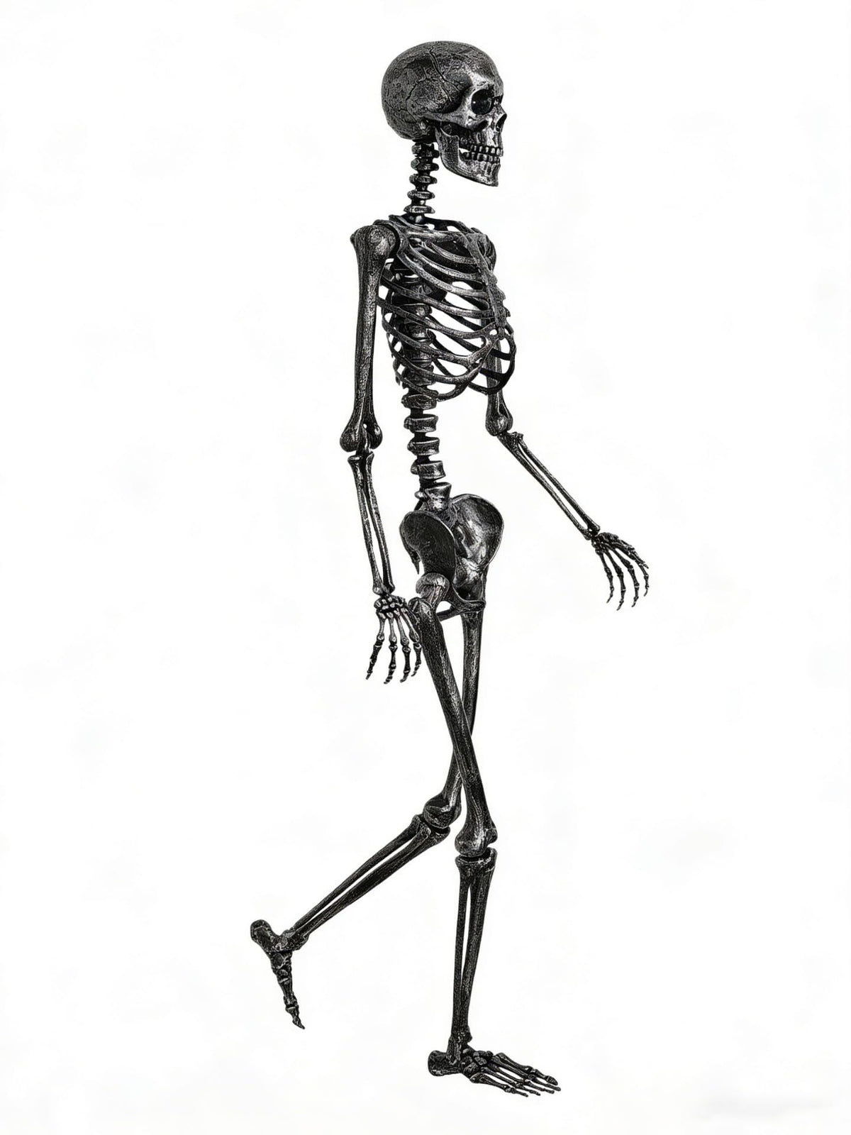 5 FT Posable Black Skeleton S997