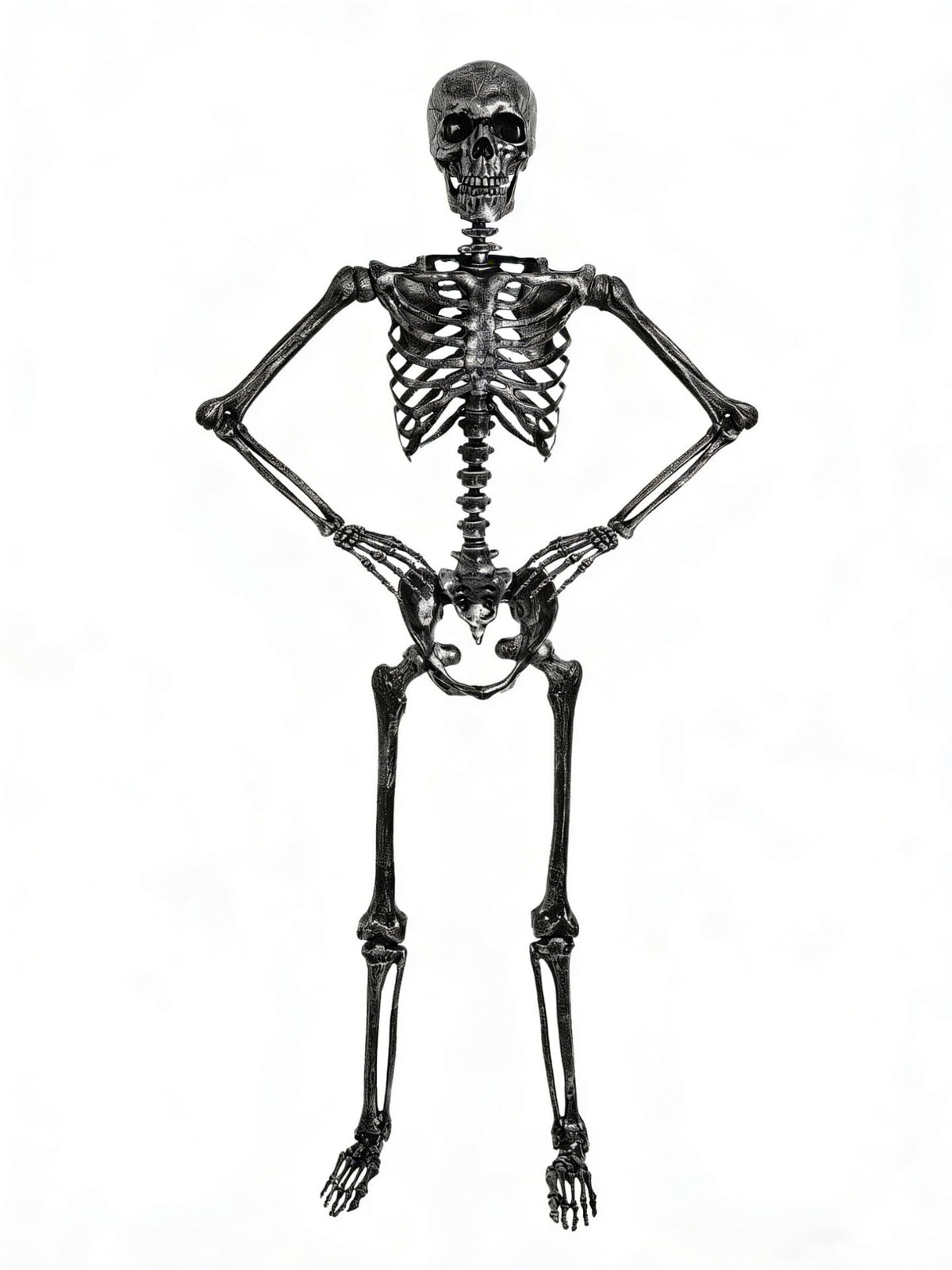 5 FT Posable Black Skeleton S997