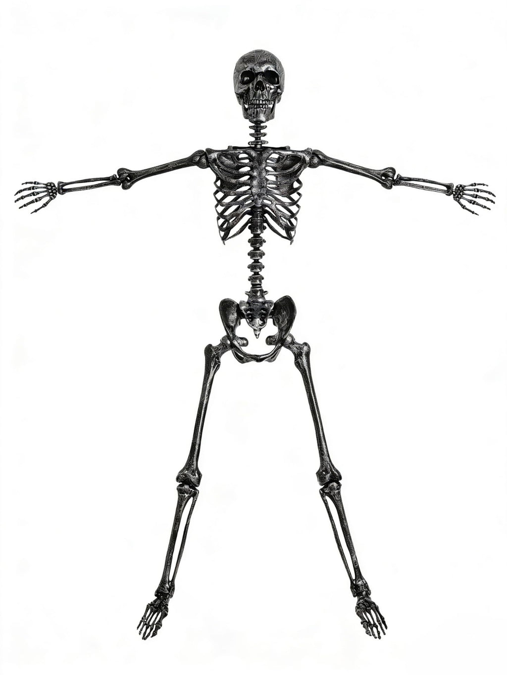 5 FT Posable Black Skeleton S997
