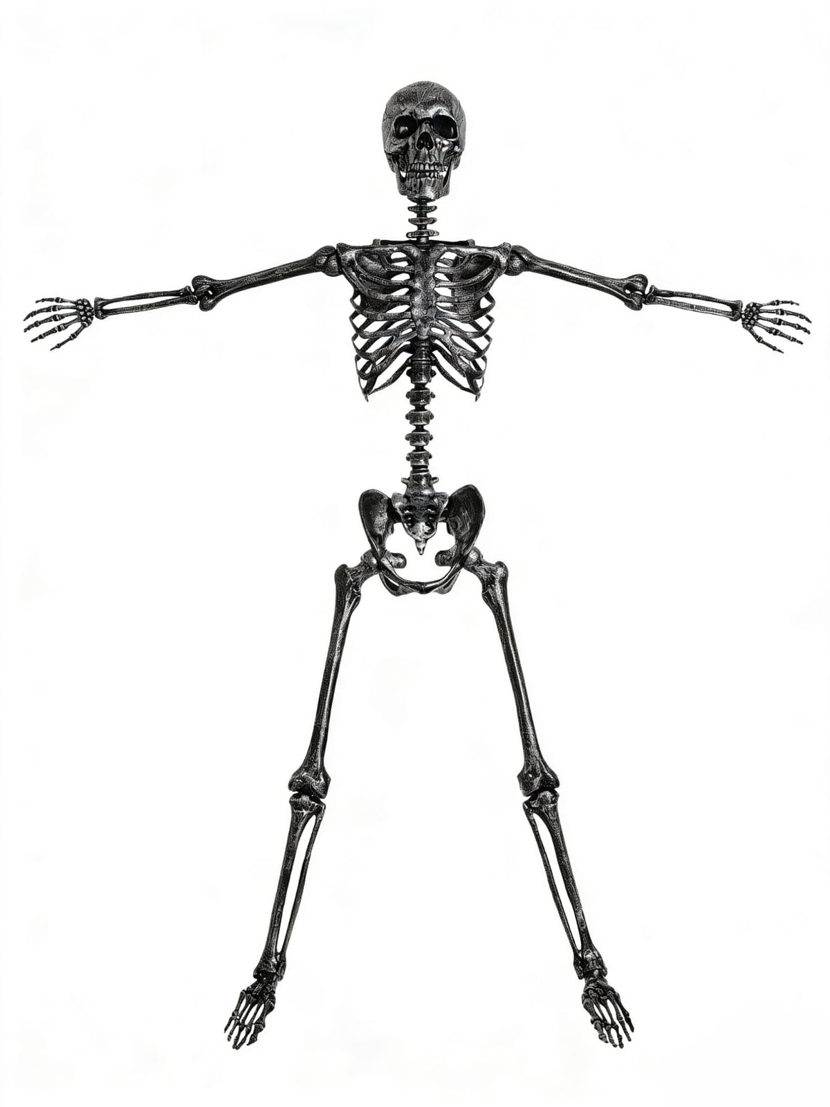 5 FT Posable Black Skeleton S997