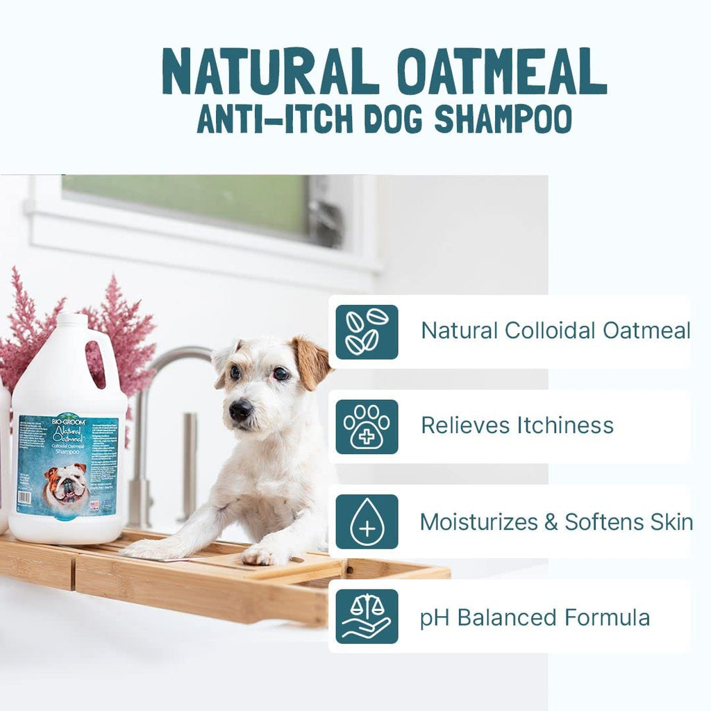 Oatmeal Dog Shampoo 1 Gallon M467019