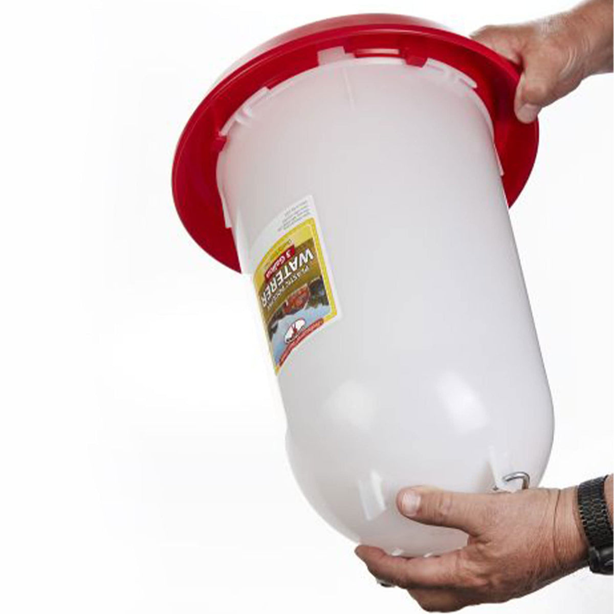 3 Gallon Plastic Gravity Fed Waterer 4-Pack K414241