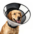 Soft Dog Cone Collar T99187