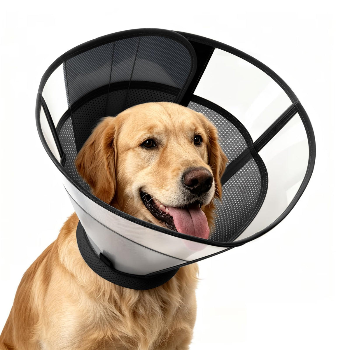 Soft Dog Cone Collar T99187