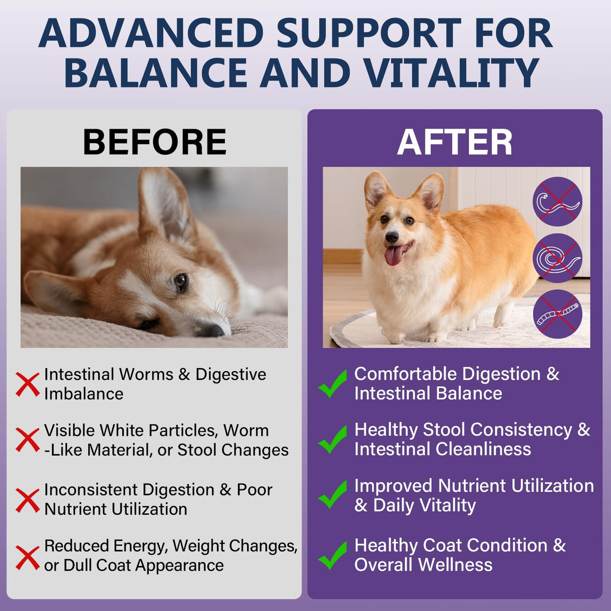 7 Way Dog Dewormer 3.4 fl oz X716