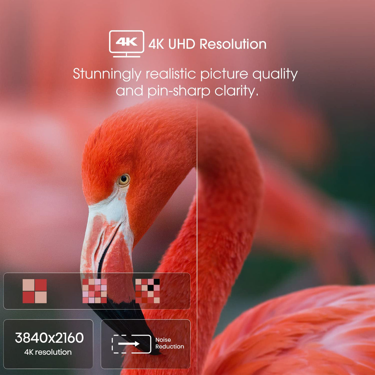 55-Inch 4K UHD Smart Google TV W95645