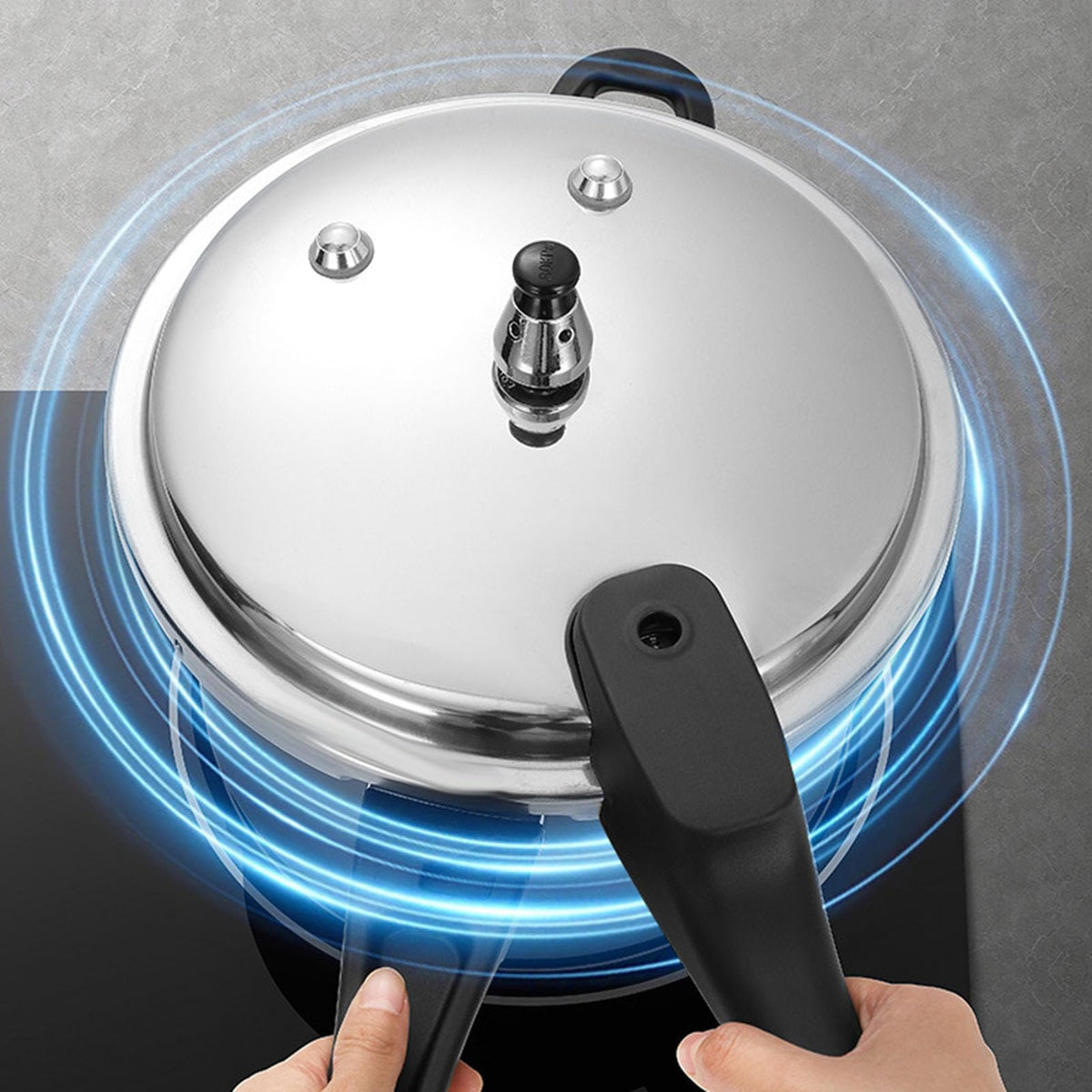 Stainless Steel Pressure Cooker C319317