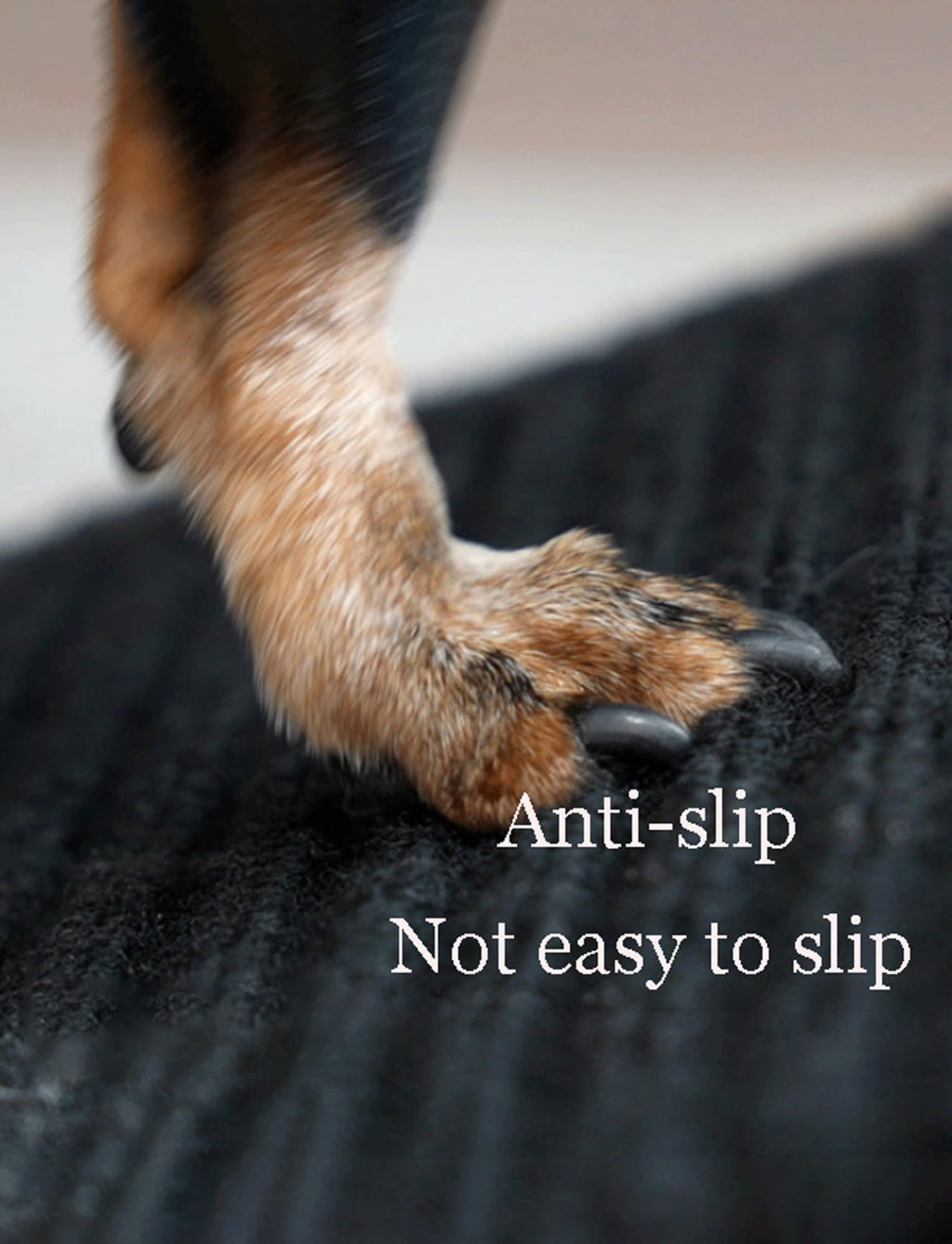 Non-Slip Lightweight Portable Pet Ramp Y1840