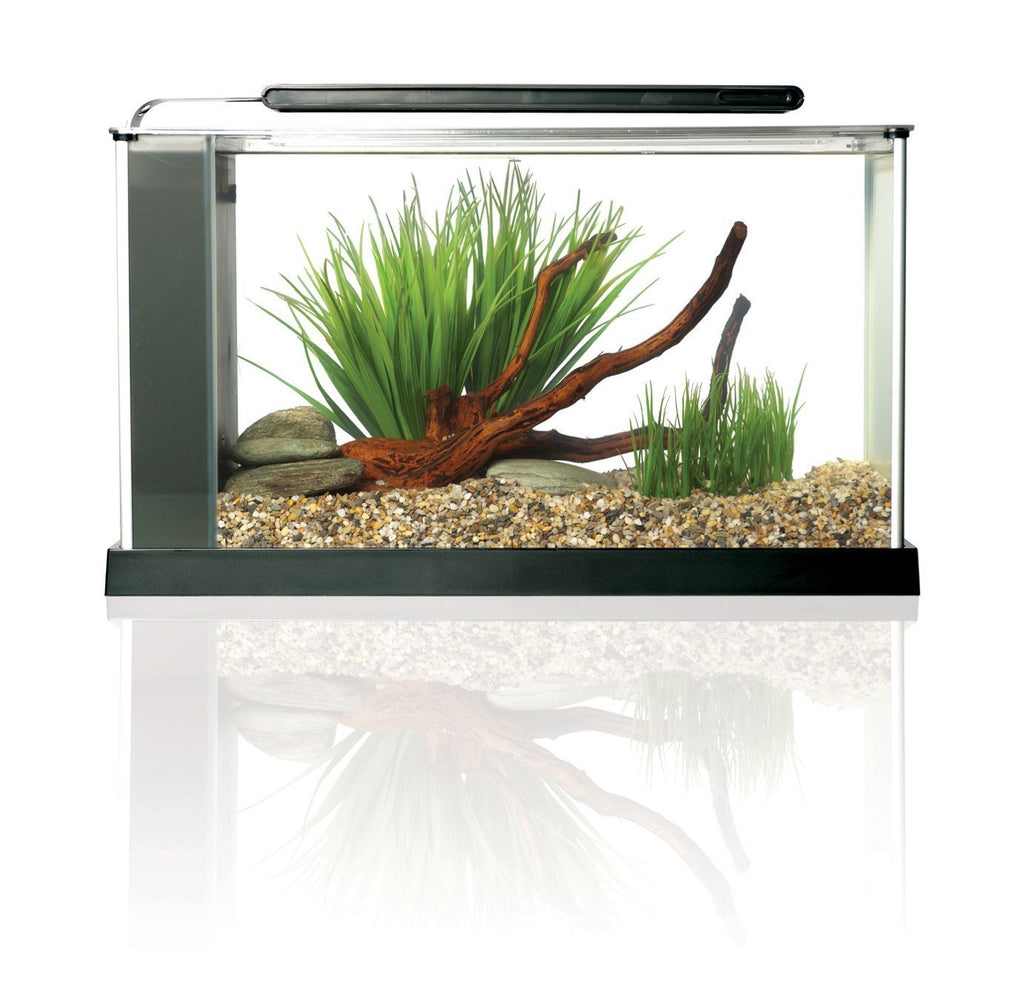 5-Gallon Aquarium Kit Q1882