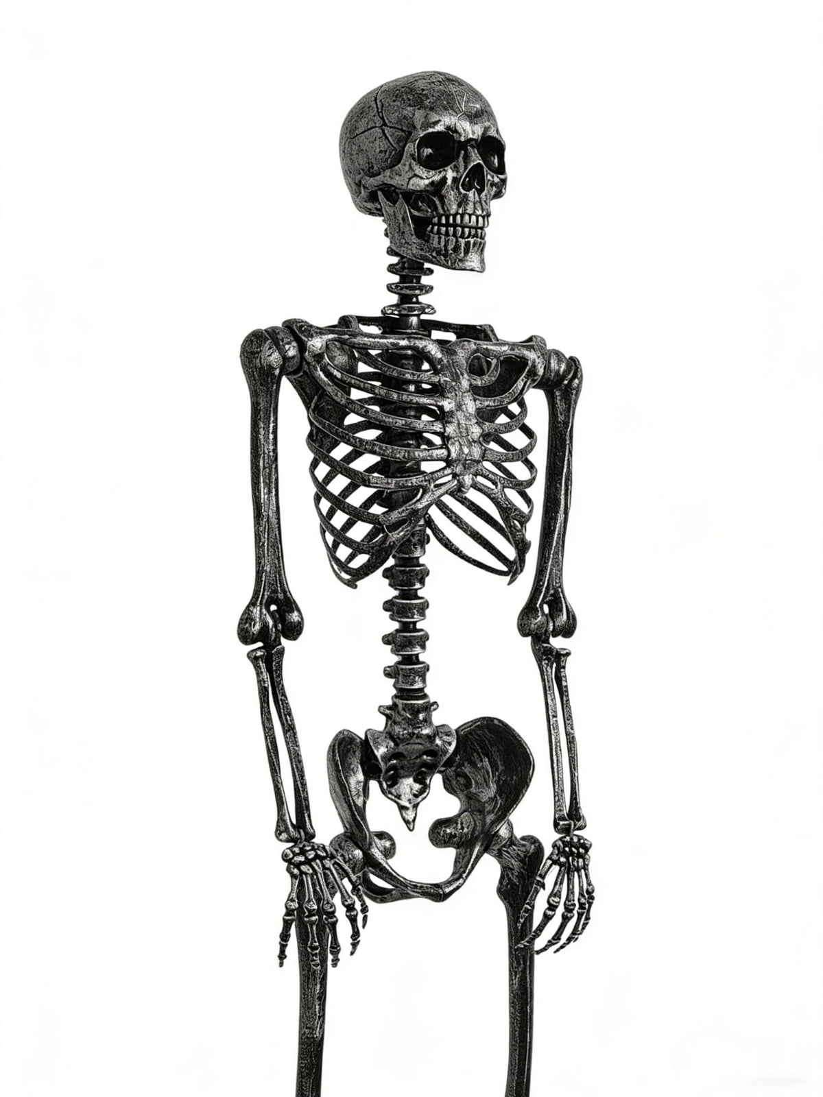 5 FT Posable Black Skeleton S997