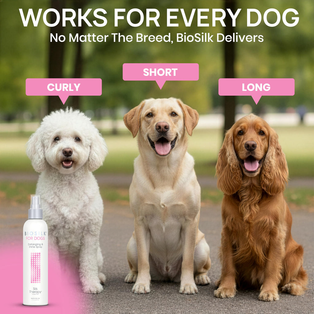 Detangling and Shine Spray 8 Fl Oz V5883