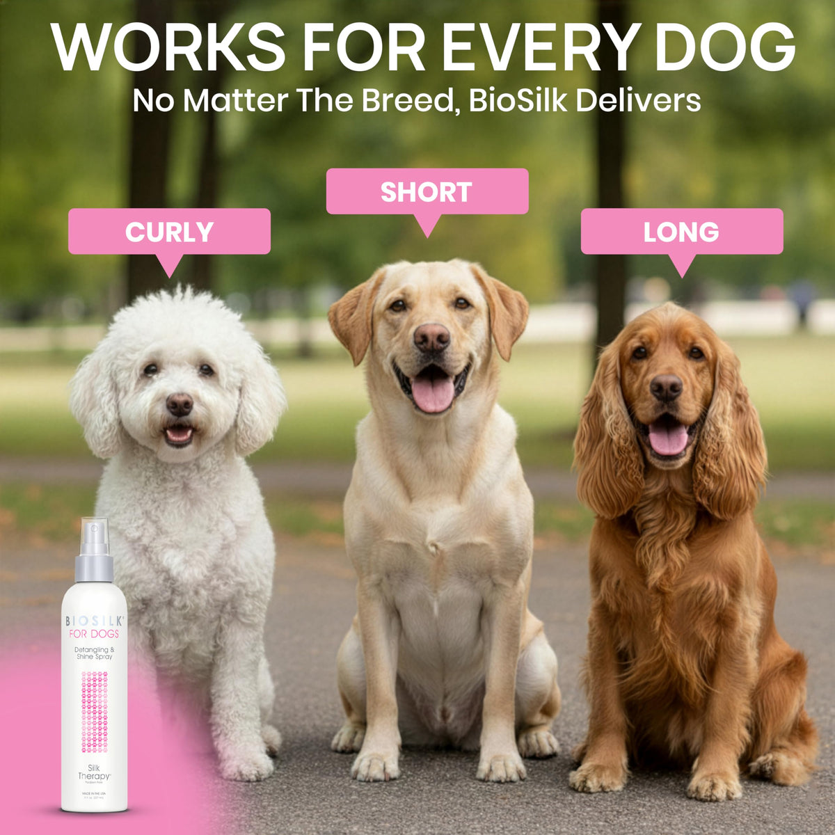 Detangling and Shine Spray 8 Fl Oz V5883