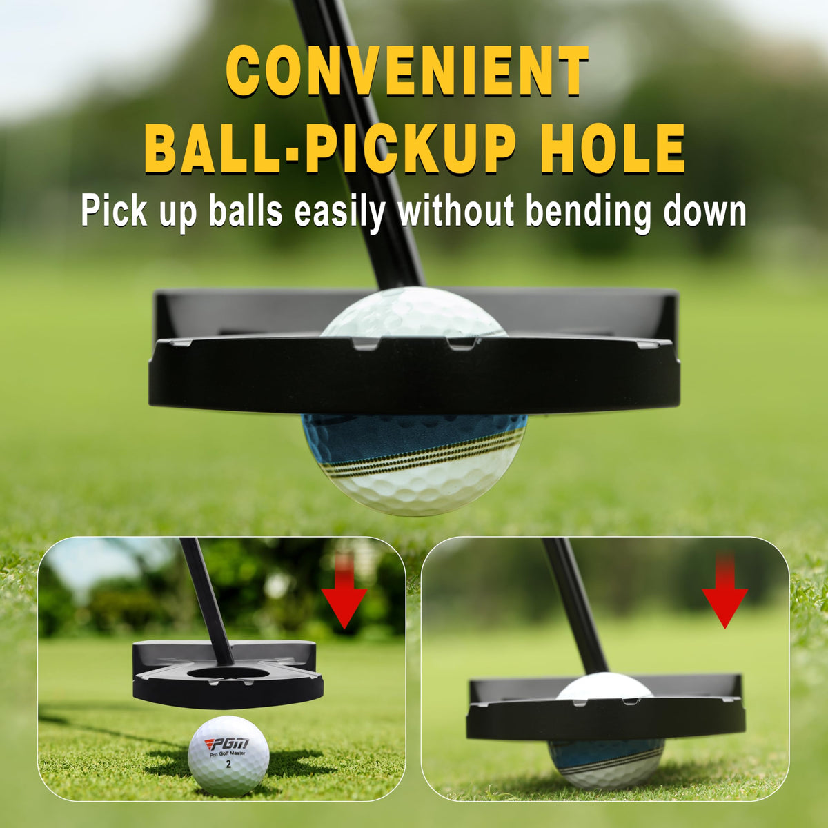 Golf Club Putter V599154