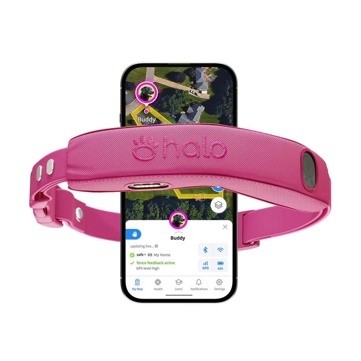 Wireless Dog Fence Q456581