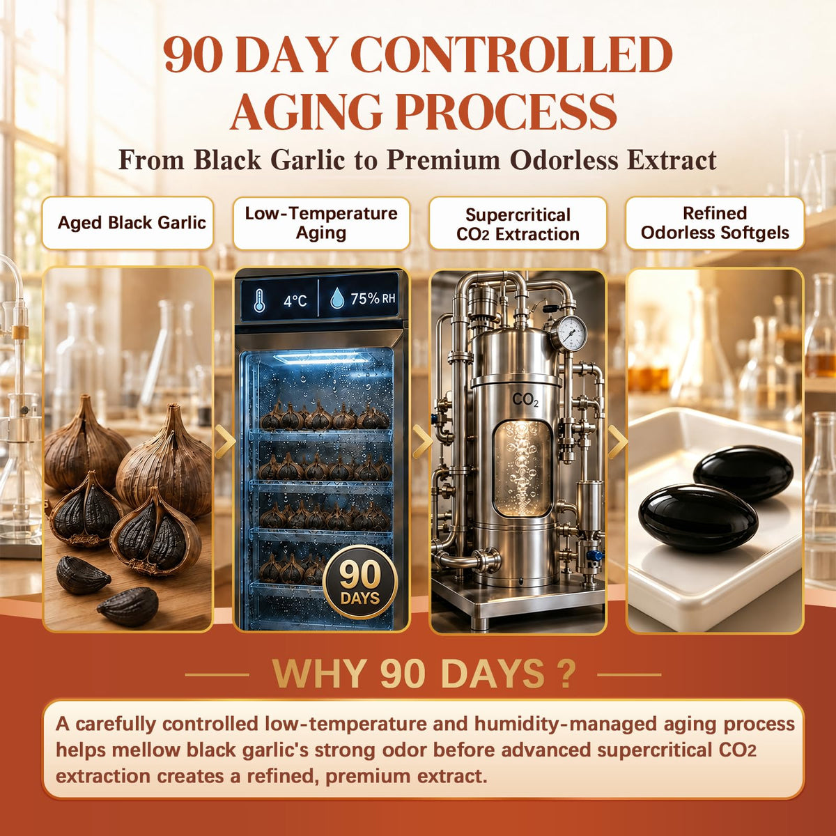 Black Garlic CoQ10 Vitamin K2 Softgels F479950