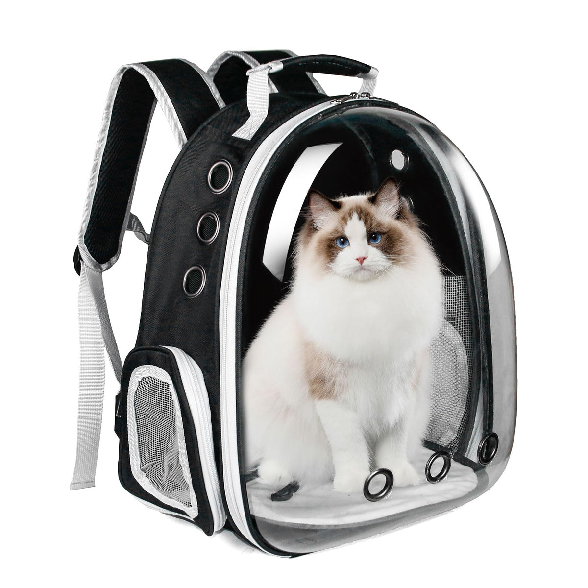 Airline Approved Bubble Cat Backpack Z65580