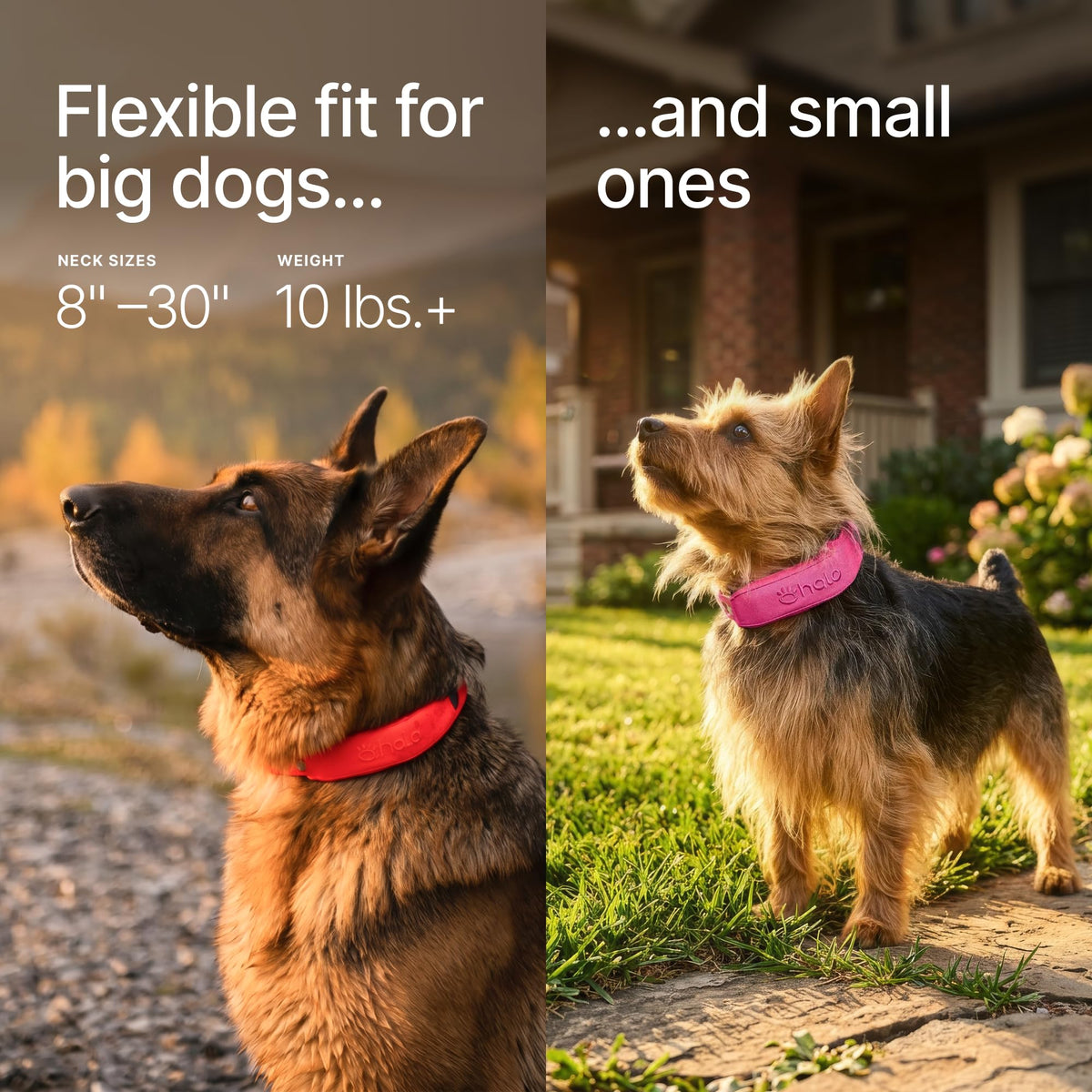 Wireless Dog Fence Q456581