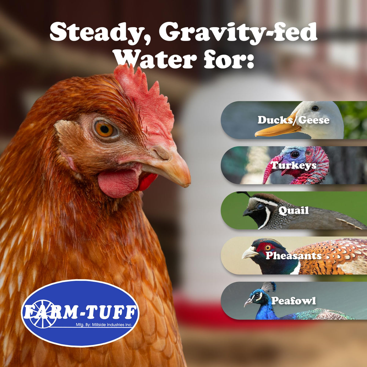 7 Gallon BPA-Free Plastic Hanging Chicken Waterer X58477