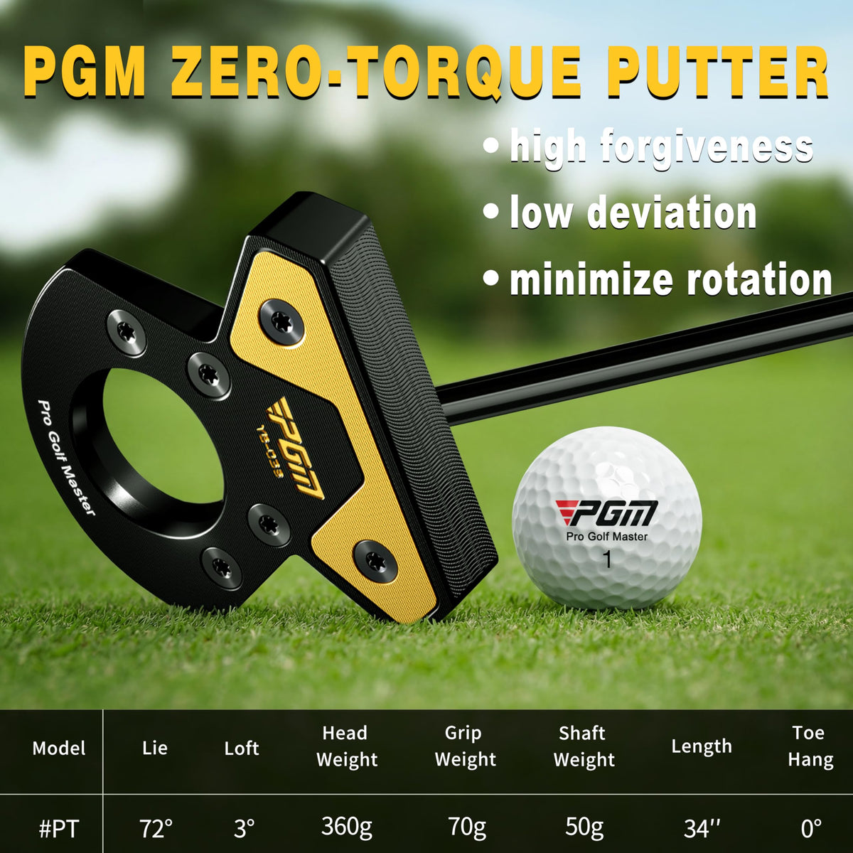 Golf Club Putter V599154