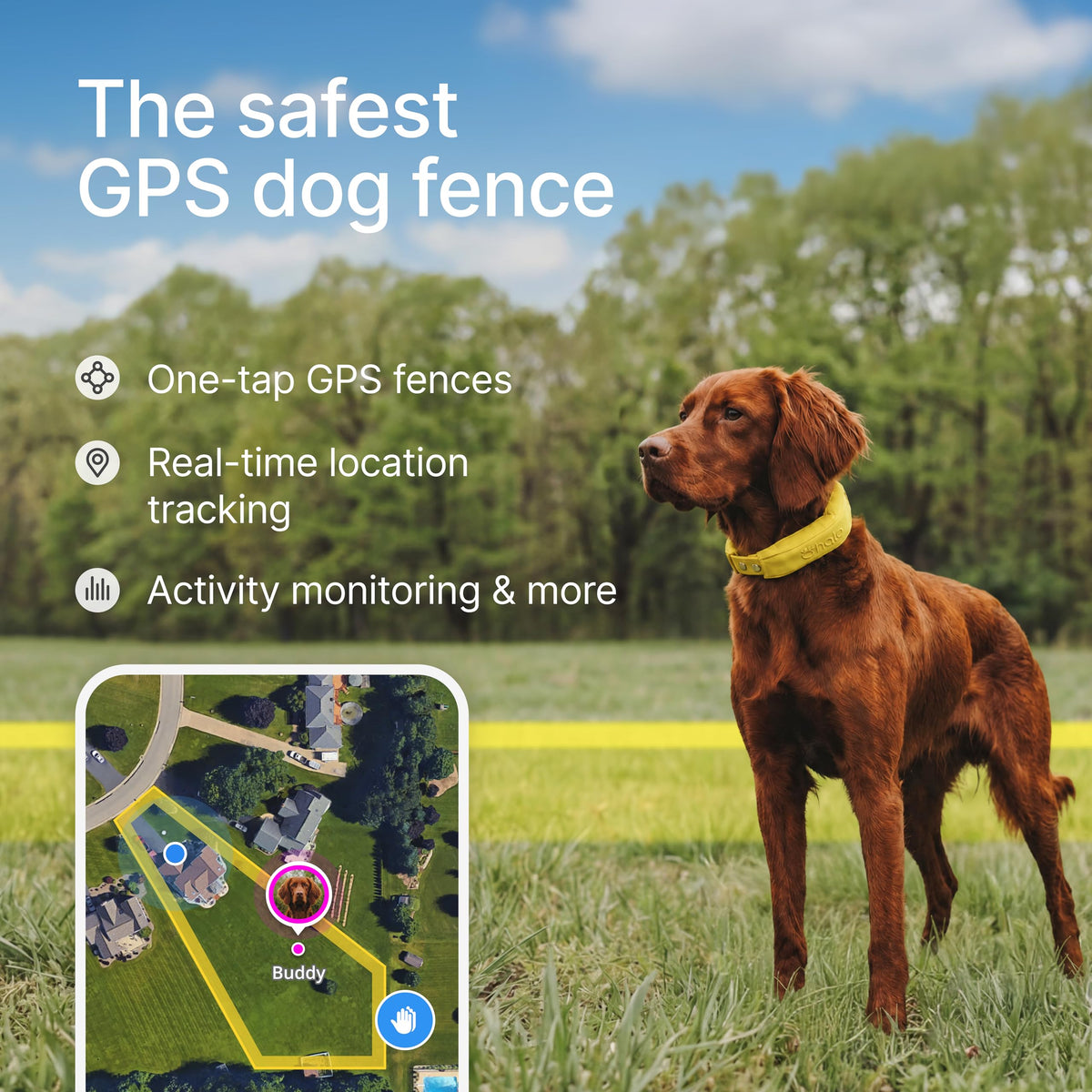 Wireless Dog Fence Q456581