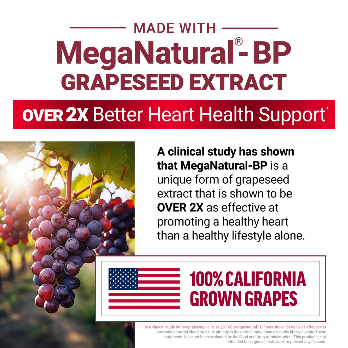 Beets Heart Health E146463
