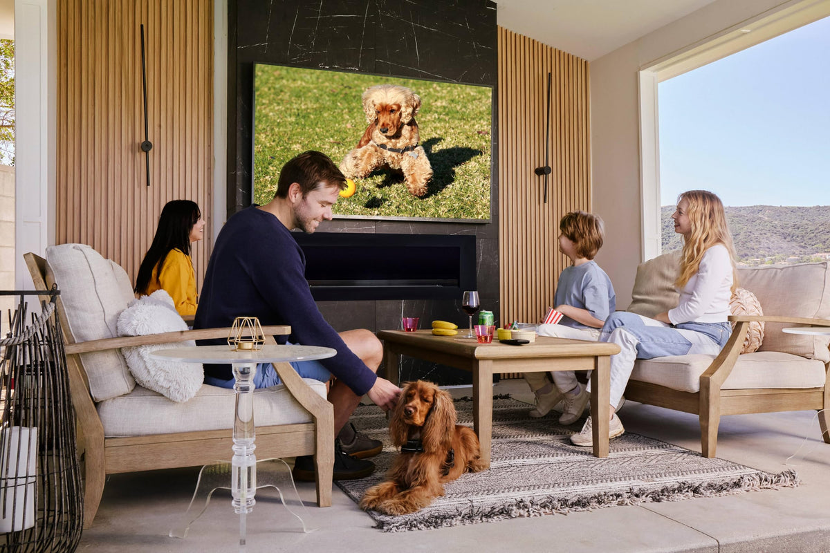 55" Smart Waterproof Outdoor TV X989402